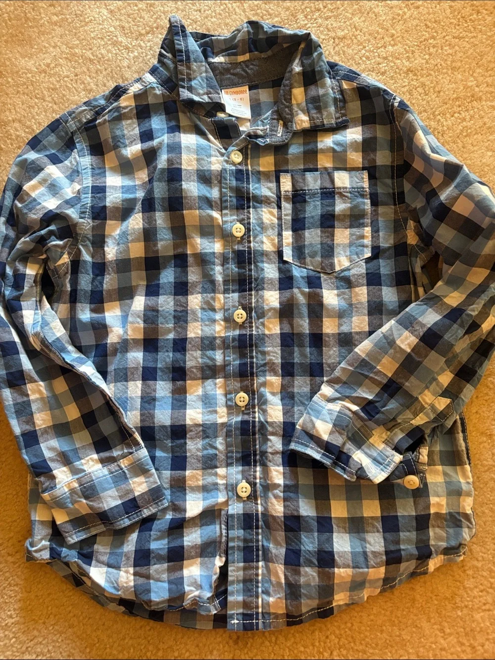 Gymboree Blue and White Plaid Button-Down Shirt